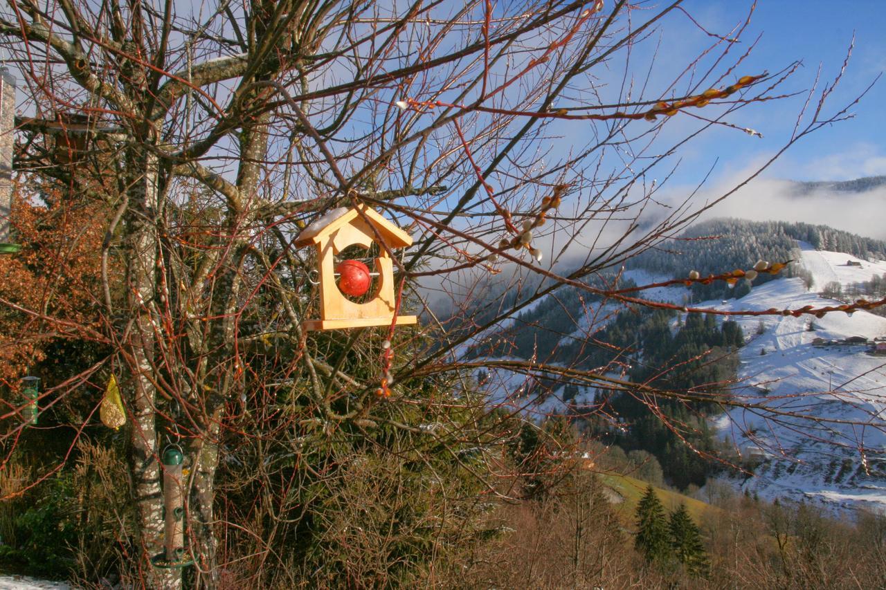 Ferienwohnung Klappacher Maria Alm am Steinernen Meer Exterior foto