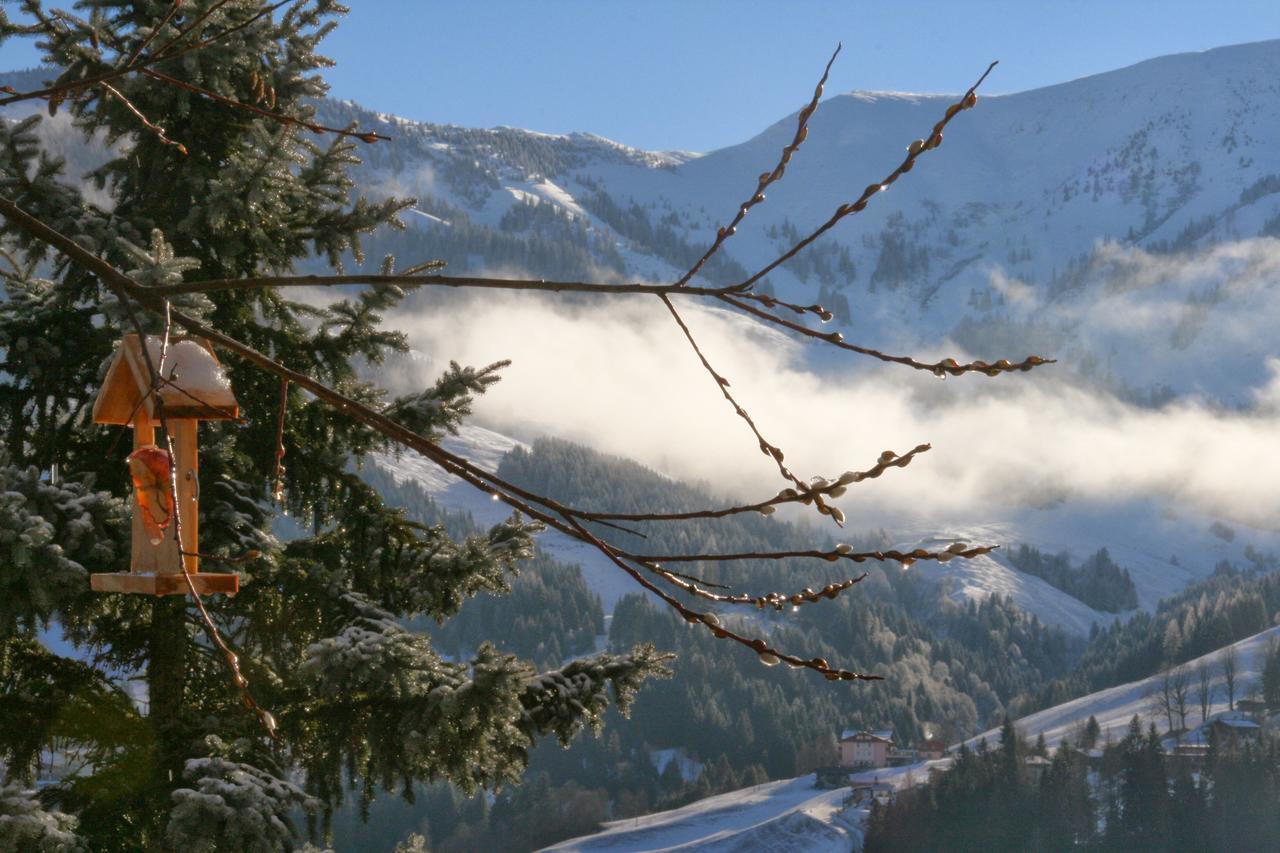 Ferienwohnung Klappacher Maria Alm am Steinernen Meer Exterior foto